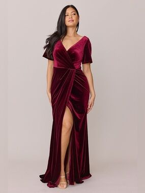 Revelry Giselle Burgundy Velvet Dress - Size 12